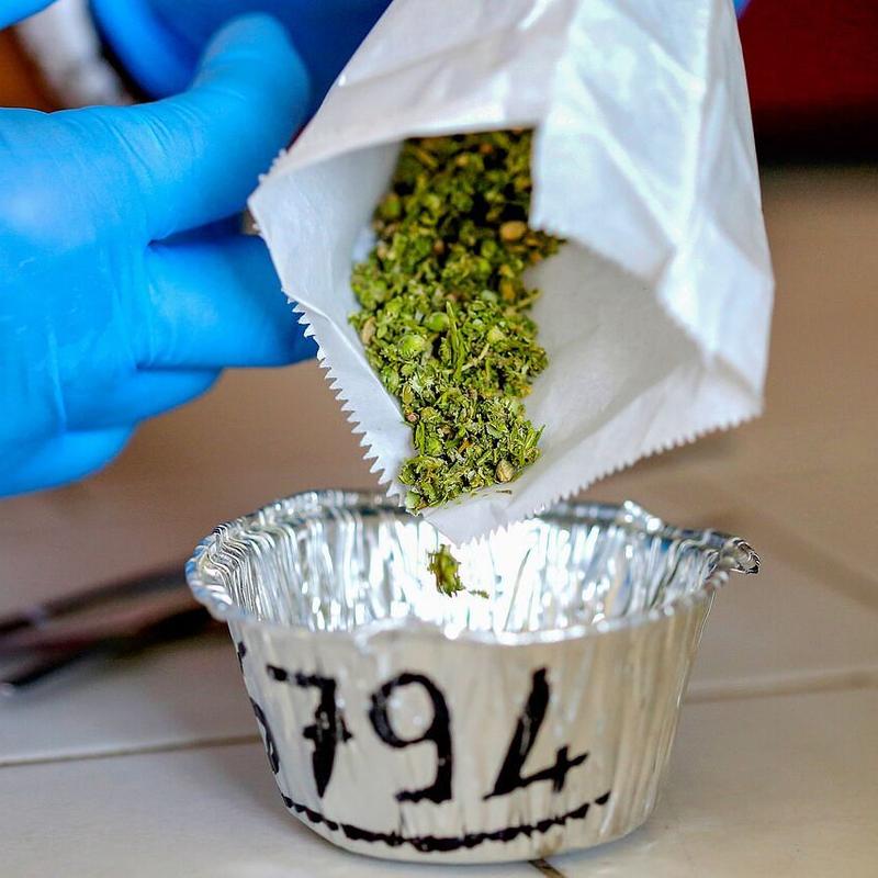 ссылка на мегу через тор